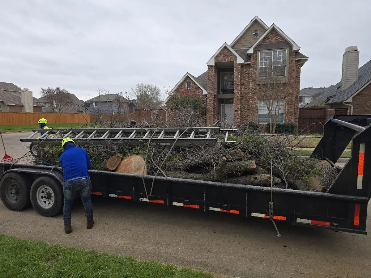 Expert Lot Clearing with proper safety equipment in Kingfield